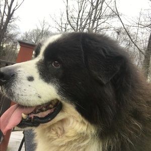 Meet your Posher, Carolyn